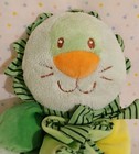 Princess Soft Toys 2007 Pastel Green Yellow Lion Baby Stuffed Animal Plush Read