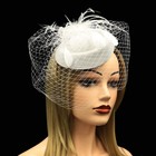 Pillbox Fascinator Hat Wedding Tea Party Women Feather Headband Hair Clip Veil