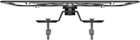 Cravenspeed Playtupus License Plate Grille Mount   Made In The Usa