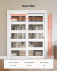 Vevor Sliding Closet Door 60  double 31   X 80  5-lite Frosted Glass Bypass Door