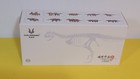 Haolonggood Carnotaurus Dinosaur Model Pvc Figure Display Green Open Box