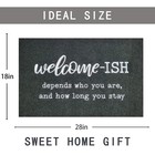 Door Mats Outdoor Welcome Doormats For Front Door Indoor Entrance Low Profile   