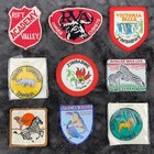 Vintage Africa Patch Lot Kafue South Luangwa Zimbabwe Rva Zebra Rhino