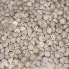 Vintage 1950 s - White  4 Ozs -tiny Round Shells - Craft  Sailor s Valentines