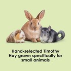 Kaytee Wafer Cut All Natural Timothy Hay For Pet Guinea Pigs  Rabbits   Other   