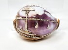 Napoli Naples Italy Cameo Tiger Cowrie Shell Vesuvius Volcano Souvenir