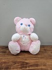 Fisher Price Puffalump Baby Bear Pink Rattle 1994 Plush Stuffed Animal Read