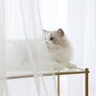 Window White Sheer Curtains 84 Inches Length 2 Panels Voile Light Filtering S   