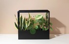 Modern Sprout Smart Growhouse - Grow Light For Indoor Plants  App-enabled  Black