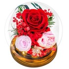 Preserved Flowers For Mom - Preserved Roses In Glass Dome With Led Light Red