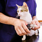Pet Dog Cat Stainless Steel Professional Nail Toe Trimmer Clipper Grooming Tool