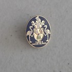 Turks And Caicos Islands Lapel Pin Travel Souvenir Flamigos