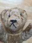 Vintage Cloth Teddy     Bear Glass Eyes 1800s Antique 15 5 