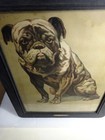 1905 Antique Edwardian Print  pansy English Bulldog  By Pierre Guerin Metroprint