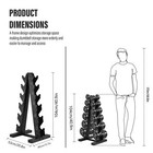 Dumbbell Rack Stand Weight Rack For Dumbbells Home Gym Storage 6 Tier 500lbs