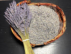 Dried Grosso Lavender Buds 1 Lb   Strong Fragrance   Sequim Wa Farm-grown