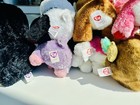 Ty Beanie Boos Set Lot Of 7 Pellie Cat Precious Barley Dougie Dog Paddle Penguin