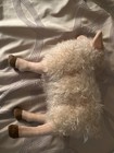Hansa Realistic White Mama Sheep Stuffed Animal  Plush Toy Farm Nos Gift 15
