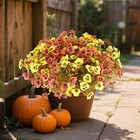 Artificial Pansies Plants 18 Bundles Fall Artificial Pansies For Orange   yellow