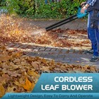 Leaf Blower  Electric Cordless Leaf Blower With 2 Batteries And Charger