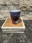 Navy Pier Chicago Souvenir Shot Glass     Colorful Skyline   Ferris Wheel Design