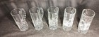 German  Glass Beer Tankards  Set Of 5 With Various Outdoor Etchings