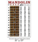 Mandolin Easy Chord   Fretboard Instructional Chart Poster Notes Beginner Chords