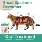 Cat Dewormer For Cats   Kittens    broad Spectrum Triple Wormer Tablets White