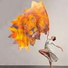 Prophetic Worship Dance Chiffon Lion Fire Flag Festival Flame Dance Banners Flex