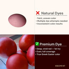Red Egg Dye Kit For Greek Orthodox Easter 2026  Complete Set  Professional Grade