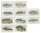 C1910 s T58 Sovereign Tobacco Card - Fish Series - 10 Different - Buy 1 Or All 