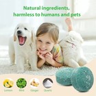 Natural Rodent Repellent Peppermint Sachets 24 Pack Mouse Mice Pest - Us