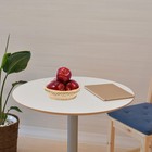 5pcs Artificial Red Apples Model For Home Decoration And Event Display