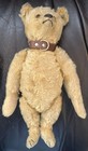 Antique Steiff Early Button Mohair Jointed Teddy Bear C1908 13    W orig Collar 