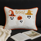 Natural Polyester Embroidered Ghost Pillow 14x20 With Insert