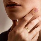 Pure Collection By Ross-simons Italian 14kt Yellow Gold Disc Cable-chain Ring