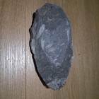 Orthoceras Fossil Specimen In Matrix