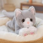 Gray Kitten Cat 18 Inch Pillow Stuffed Animal Plush Toys Toddler Doll Kids Gifts