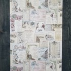 Vintage Victorian Antique Menus Designer French Cottage Kitchen Theme Wallpaper 
