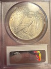 1926 Peace Dollar Pcgs Ms64