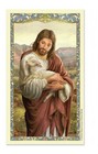 Act Of Contrition Good Shepherd Jesus Christ Catholic Prayer Laminated Holy Card