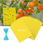 60pcs Sticky Fly Trap Paper Yellow Traps Fruit Flies Insect Glue Catcher Usa