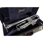 Bach 180s Stradivarius 37 Bell Bb Trumpet Silver  Gold Brass Bell 19788375249