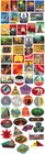 Lot Of 56 Retro Vintage Travel Hotel Stickers Bomb Skateboard Luggage Decal Pack