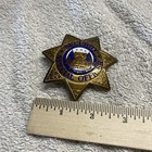 Vintage Obsolete Sun Badge  Gol-tone Security Special Officer Badge 7 Point Star
