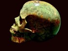 5 0  Green Moss Agate Hand Carved Crystal Skull  Realistic  Crystal Healing S216