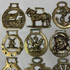 Brass Horse Medallion Lot Of 20 Antique To Vintage Sun Phoenix Anchor Thistle