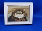 Vtg Set 11 Tulip Levy Striped Tabby Maine Coon Cat Note Cards Lowell Herrero