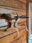 Antique Rustic Western Decor Horn Art
