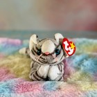      Prance The Gray Striped Cat        Ty Beanie Baby   Birthday November 20